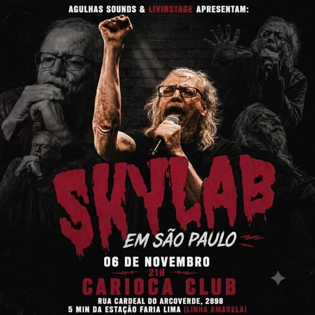 Arte oficial — Rogério Skylab