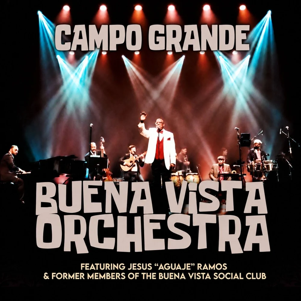 Arte oficial — Buena Vista Social Orchestra