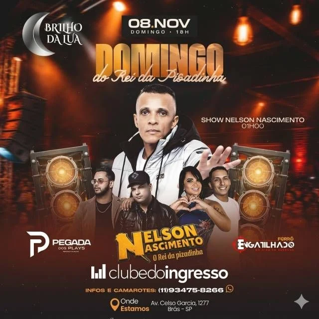 Arte oficial — Nelson Nascimento no Brilho da Lua - Domingo do Rei da Pisadinha